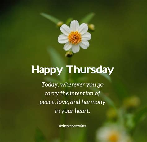 Happy thursday picture quotes - Jun 10, 2022 · Unknown. “Acknowledging the good that you already have in your life is the foundation for all abundance.”. Eckhart Tolle. “Gratitude is the fairest blossom which springs from the soul.”. Henry Ward Beecher. “A thankful heart is a happy heart. Being thankful for what you have is a good place to start.”. Unknown. 